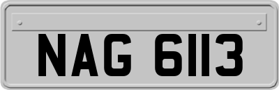 NAG6113