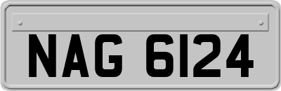 NAG6124