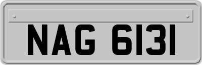 NAG6131