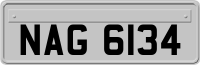 NAG6134