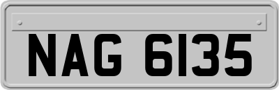 NAG6135