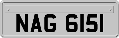 NAG6151