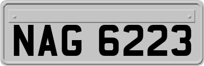 NAG6223