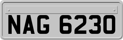 NAG6230