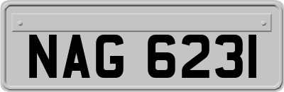 NAG6231