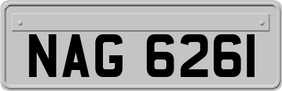 NAG6261