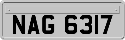 NAG6317