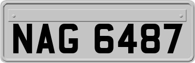 NAG6487