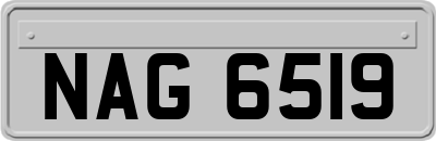 NAG6519