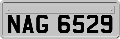 NAG6529