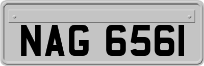 NAG6561