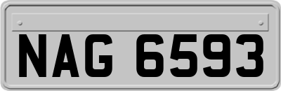 NAG6593