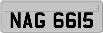 NAG6615