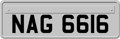 NAG6616