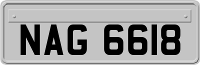 NAG6618