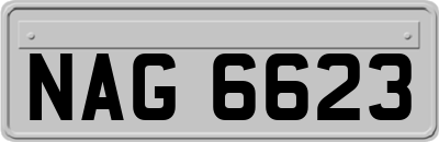 NAG6623