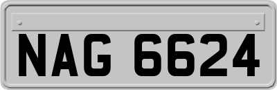 NAG6624