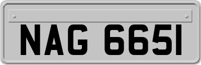 NAG6651