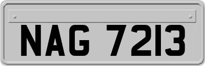 NAG7213