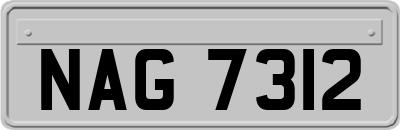 NAG7312