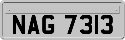 NAG7313