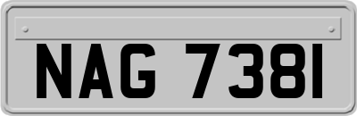 NAG7381