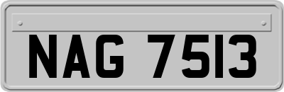 NAG7513