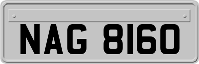 NAG8160