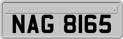 NAG8165