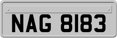 NAG8183