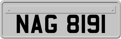NAG8191