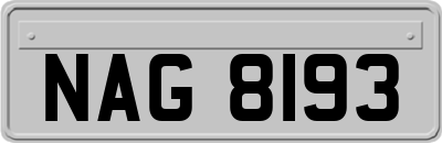 NAG8193