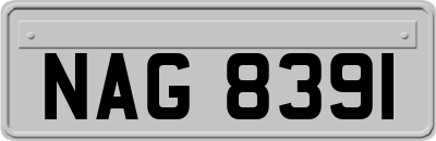 NAG8391