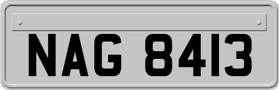 NAG8413