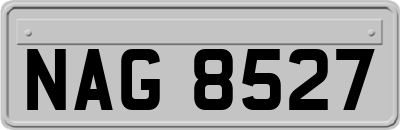 NAG8527