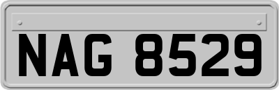 NAG8529