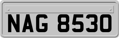 NAG8530