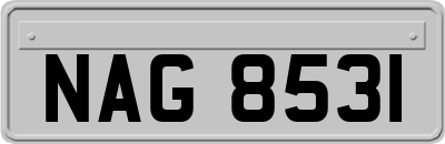 NAG8531