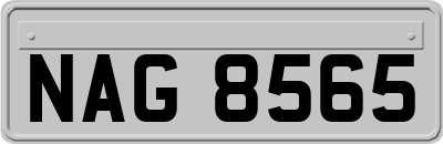 NAG8565