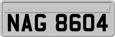 NAG8604