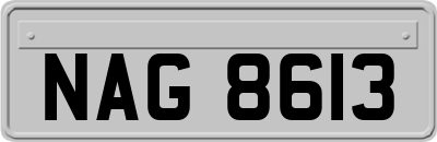 NAG8613