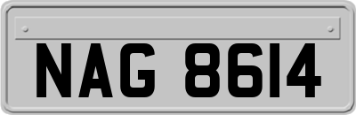 NAG8614