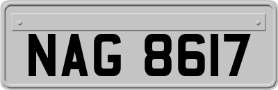 NAG8617