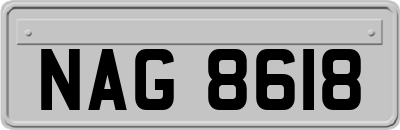 NAG8618