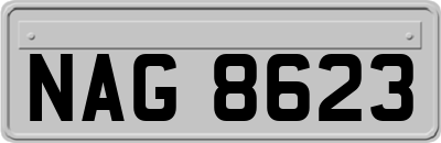 NAG8623