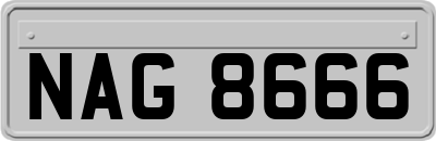 NAG8666