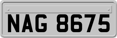 NAG8675