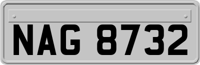 NAG8732