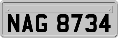 NAG8734