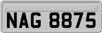 NAG8875